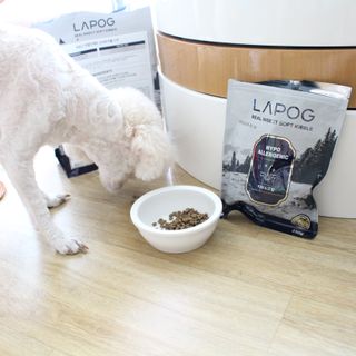 [푸디웜] 라포그 리얼인섹트 소프트키블 스킨 1KG — 5점을 준 리뷰어가 2022년 9월 올린 사용 사진