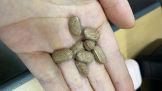 슬림플래닛 녹차카테킨 500mg 애프터밀 — 4점을 준 리뷰어가 2021년 10월 올린 사용 사진