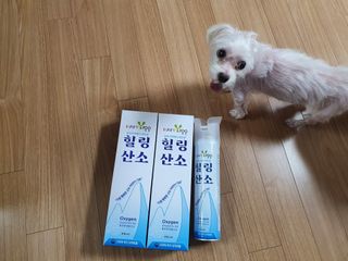 마이쭈님이 올린 리뷰 사진 1
