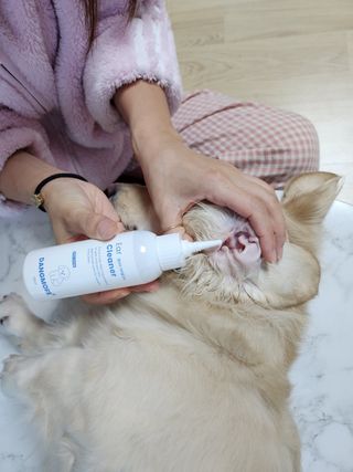 [댕모어 클리너 3종] 아이클리너 / 이어클리너 / 덴탈클리너 3종 세트 (120ml) — 5점을 준 리뷰어가 2023년 11월 올린 사용 사진