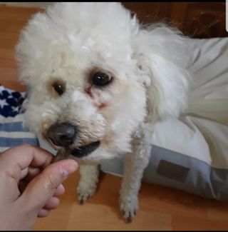 크림푸님이 올린 리뷰 사진 2