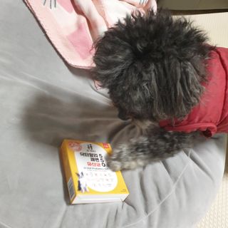 깜딱지님이 올린 리뷰 사진 4