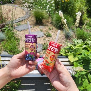 [롯데칠성] 야채듬뿍 더'진한 [롯데칠성] 야채는 이제 COLORFULL! 야채듬뿍  더 진한 레드 4개 +퍼플 4개 (총 8개) — 5점을 준 리뷰어가 2023년 6월 올린 사용 사진