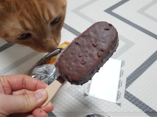 롯데제과 본젤라또 비스킷&바닐라카라멜바, 본젤라또 베리쇼콜라컵 — 4점을 준 리뷰어가 2021년 11월 올린 사용 사진