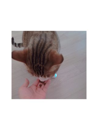 olvelynn님이 올린 리뷰 사진 3