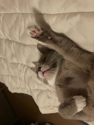 빙이님이 올린 리뷰 사진 3