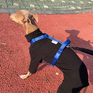 JeonEunju님이 올린 리뷰 사진 2