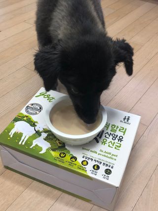 꾸미꾸마님이 올린 리뷰 사진 3