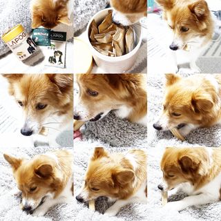 림림님이 올린 리뷰 사진 1