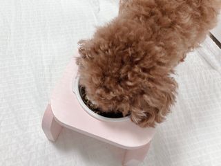 연이님이 올린 리뷰 사진 3