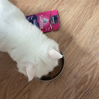 noname님이 올린 리뷰 사진 3