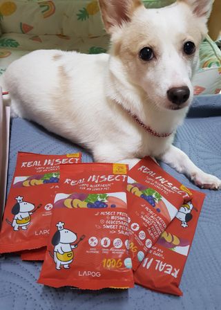 모델윤지님이 올린 리뷰 사진 2