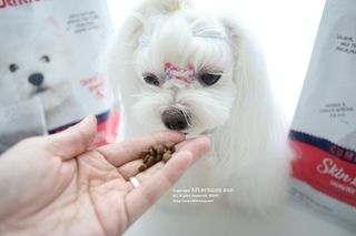 설꽁주님이 올린 리뷰 사진 4
