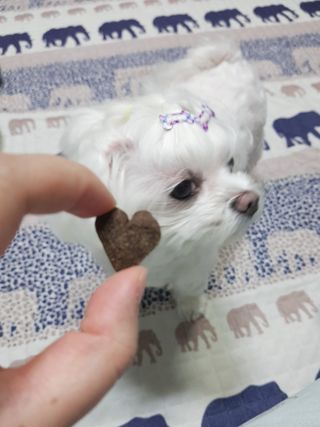 두부님이 올린 리뷰 사진 2
