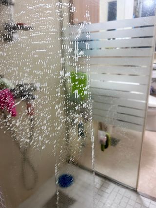 BBora님이 올린 리뷰 사진 3