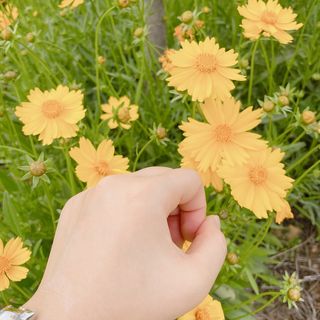 닥터마시멜로 셀멜로 올인원 리커버리 크림 — 5점을 준 리뷰어가 2021년 5월 올린 사용 사진