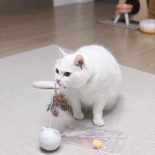 샤샤님이 올린 리뷰 사진 2