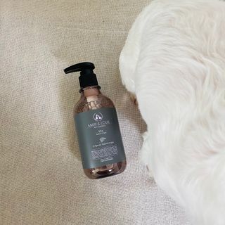 마리앤루이펫샴푸 [mari and louie pet shampoo] — 5점을 준 리뷰어가 2021년 6월 올린 사용 사진