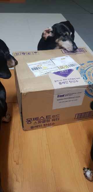 내새꾸쵸코님이 올린 리뷰 사진 3