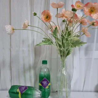몽베스트 Montbest with Sparkling water Lemon OR Lime 20병(랜덤) — 5점을 준 리뷰어가 2022년 7월 올린 사용 사진