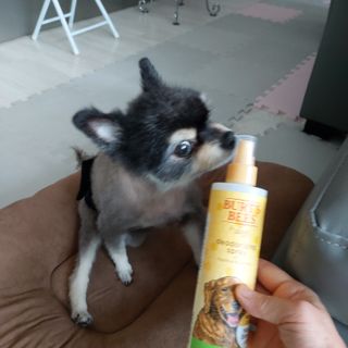 복도리님이 올린 리뷰 사진 2