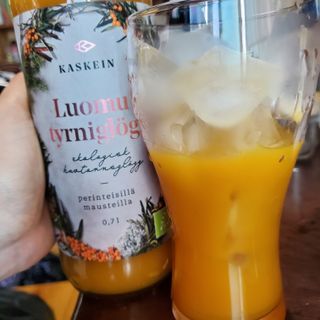 H365 [Kaskein Luomutyrniglögi] 핀란드 전통 무알콜 멀드와인 시벅톤 글로기 — 5점을 준 리뷰어가 2021년 5월 올린 사용 사진