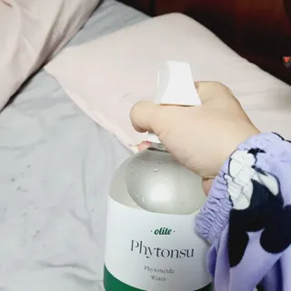 댑빵이님이 올린 리뷰 사진 2