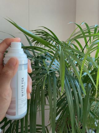 가치 WATERFOX(워터폭스)-엑토인 시카-비옴 하이 워터 크림 (100ml) — 4점을 준 리뷰어가 2023년 3월 올린 사용 사진