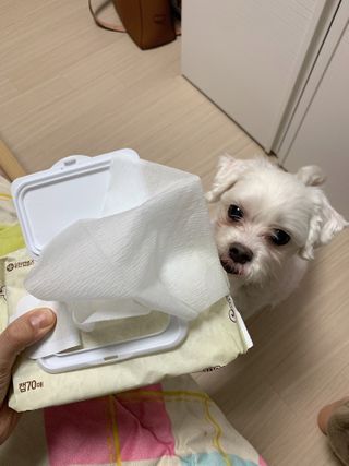 으니부기님이 올린 리뷰 사진 4