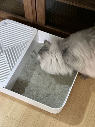 쪼로리님이 올린 리뷰 사진 3