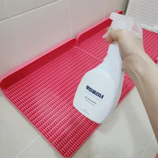 삼숑이맘님이 올린 리뷰 사진 2