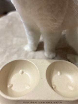 화이집사님이 올린 리뷰 사진 2