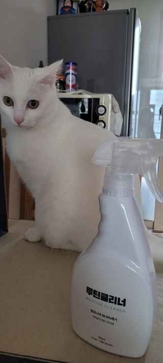 대박이님이 올린 리뷰 사진 2