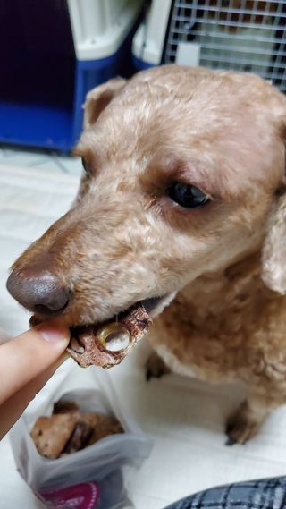 🌈🐩👨‍👩‍👧님이 올린 리뷰 사진 3