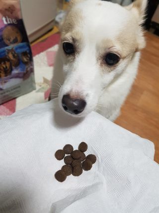 모델윤지님이 올린 리뷰 사진 2