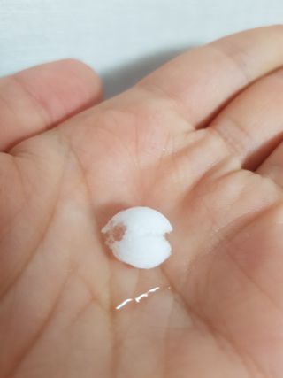 차오람님이 올린 리뷰 사진 1