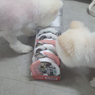 도레파스 굴삼계탕 - 강아지용 — 5점을 준 리뷰어가 2021년 3월 올린 사용 사진