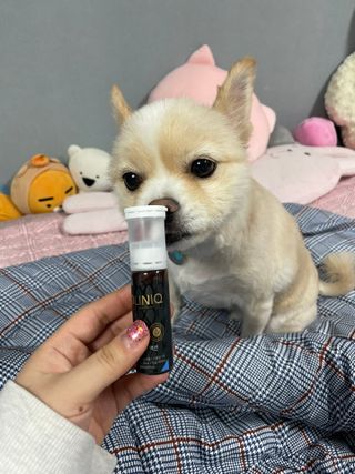 다링님이 올린 리뷰 사진 2