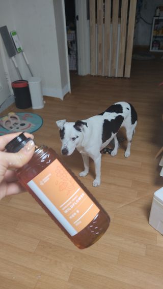 조말루님이 올린 리뷰 사진 1