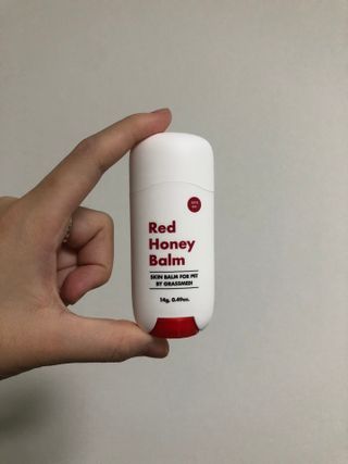 콩이님이 올린 리뷰 사진 2