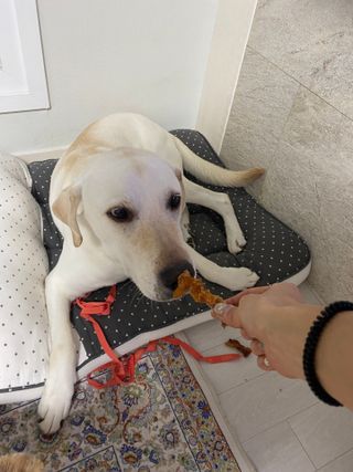정봐기린님이 올린 리뷰 사진 1