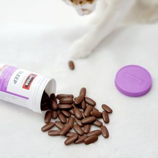jenny님이 올린 리뷰 사진 2