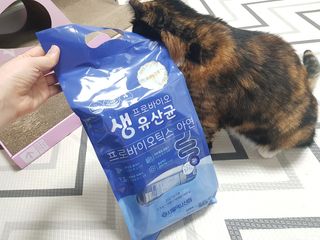 서울약사신협_프로바이오 생유산균 2.5g 160포 — 5점을 준 리뷰어가 2021년 7월 올린 사용 사진