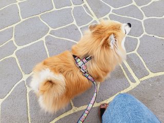 좋아님이 올린 리뷰 사진 1