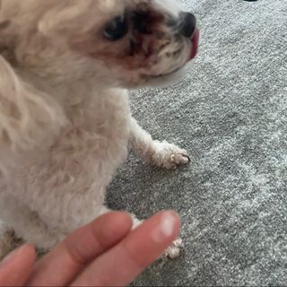 조이님이 올린 리뷰 사진 3