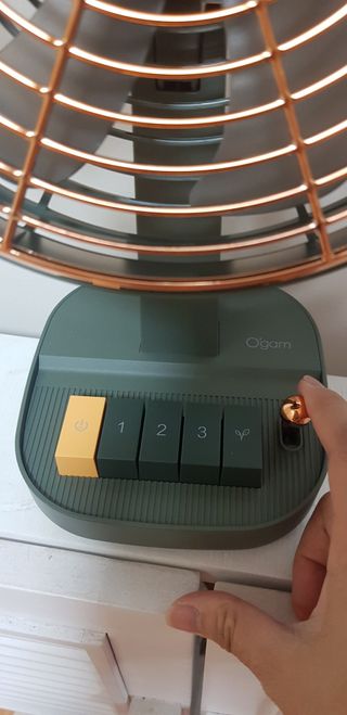 써니님이 올린 리뷰 사진 2