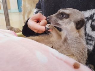 예아님이 올린 리뷰 사진 3