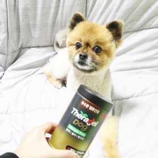 꿀냥이님이 올린 리뷰 사진 1