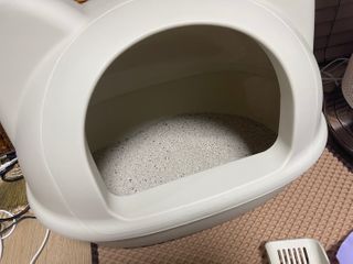 겟플렉스 켓플렉스 캣츠룸BS-1 고양이모래 4kg — 5점을 준 리뷰어가 2021년 2월 올린 사용 사진