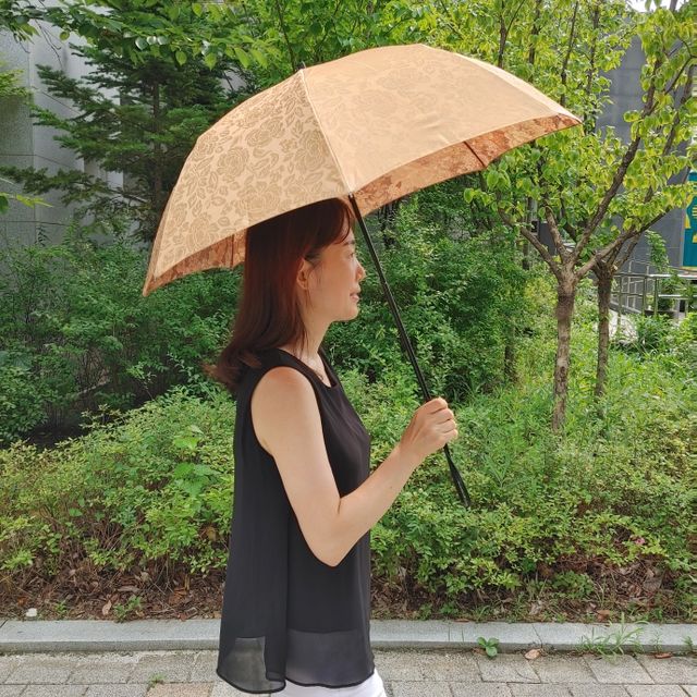 시에라리 2단 양우산 2종 리뷰 사진